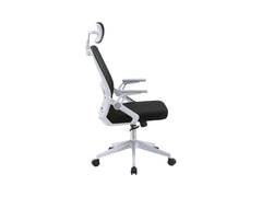 Born Ergonomic Office Chair – TILT Mechanism, Adjustable Armrests & Headrest | Black & White