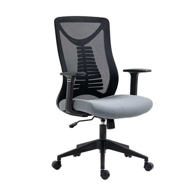 Ergolex Ergonomic Office Chair – Black / Grey