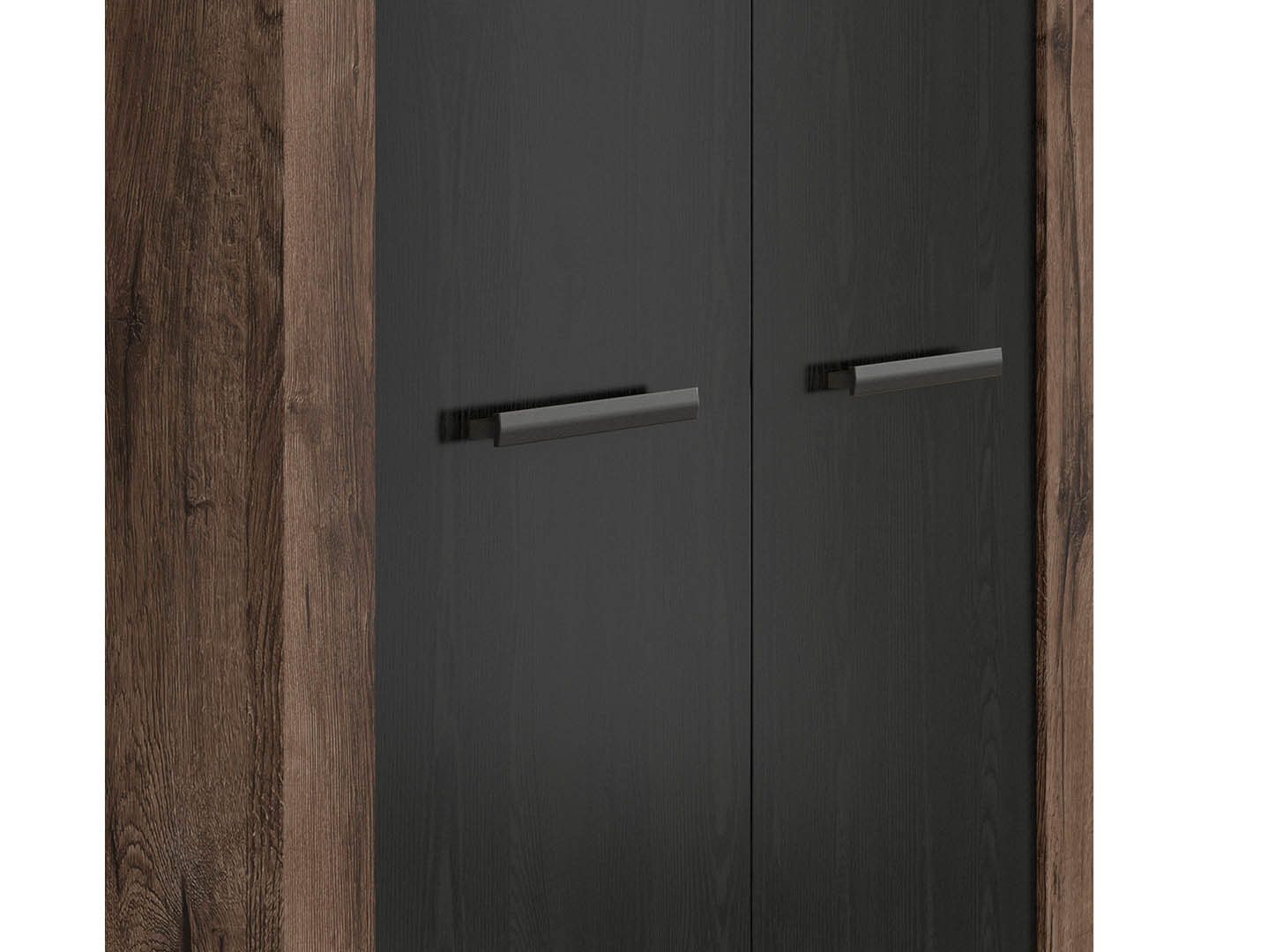 Balin 2-Door Wardrobe 98x195 – Monastery Oak & Black Oak